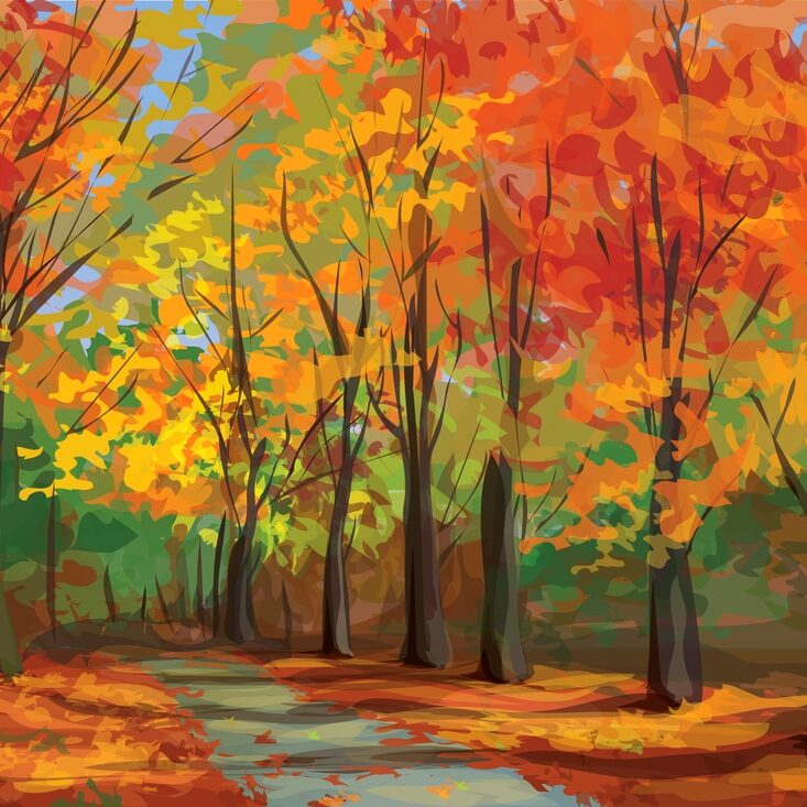 Autumn Blaze Maple Drawing