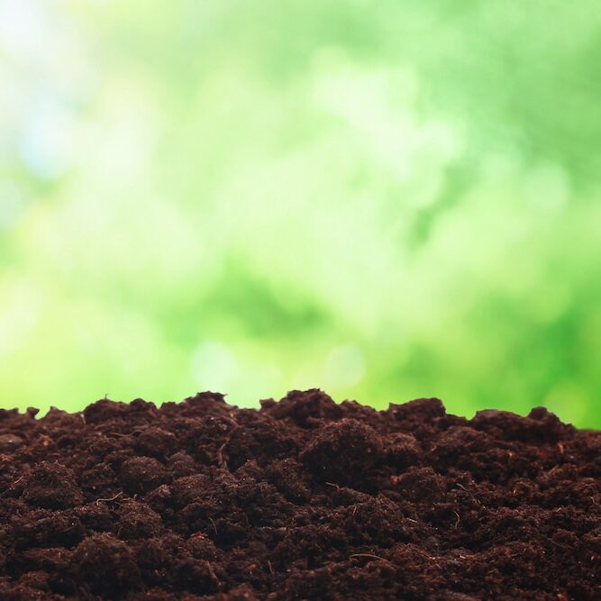 Spring soil
